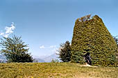 Escursione nel Parco Colli di Bergamo, uno delle decine di roccoli presenti nel parco, la torre dell'uccellatore.